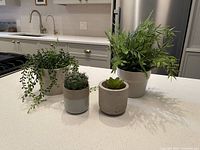 Four artificial plants displayed on a white kitchen countertop: two leafy green plants in 4-inch light-colored pots, one small succulent in a 3-inch pot, and one small cactus in a 3-inch burlap wrapped pot.