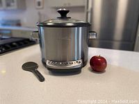Photo showing Breville stainless steel rice cooker with glass lid, rice paddle and red apple for scale on countertop.