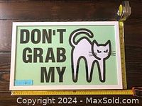 Framed mint green sign with black text 'DON'T GRAB MY' and cat graphic, showing overall condition and frame