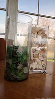 Two clear glass vases side by side on a wooden surface next to a window. One vase is filled with green, white, and brown sea glass, the other with assorted seashells.