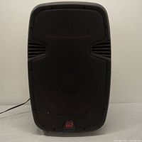 Full front view of the Power Pro Audio PPA-5515ABE DJ loudspeaker showing the black grill and cabinet with the logo at the bottom.