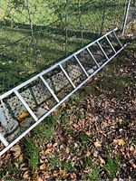 Full view of aluminum ladder lying against chainlink fence on grass with fallen leaves, showing overall condition and length.