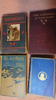 Photo showing 4 antique books stacked with visible titles: Scottish Chiefs by Porter, The Carissima by Lucas Malet, Black Rock by Ralph Connor, and one with blue cover with gold emblem.