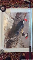 Full view of a signed bird print featuring woodpeckers on a tree trunk with a golf club and tape nearby for scale. The print is detailed and shows vibrant red markings on the birds.