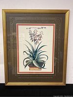 Full view of framed botanical print showing Aloe Vera plant illustration within decorated frame