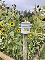 White enamel steamer pot with sunflower motifs on the sides and lid, shown outdoors among real sunflowers.