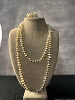 Front view of the vintage shell nugget necklace and bracelet displayed on a beige jewelry bust, showing the shape and color of the shells.