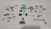 Overview of various pins, brooches, and pendants laid out showing the variety and design styles.