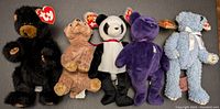 Group photo of all 5 TY Beanie Babies showing variety and condition