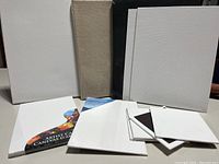 Group of assorted small white canvases, including traditional frame-backed canvases of various sizes from small to larger rectangles.