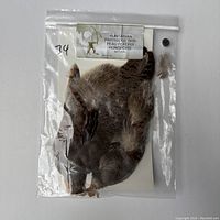 Hungarian Partridge skin in sealed plastic bag with label showing product name and details.