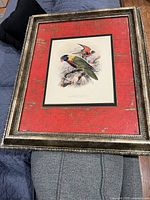 Framed print featuring detailed parrot birds with ornate gilt frame and red distressed matting, shown on couch.
