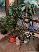 Overall group of four live plants, one artificial ficus tree, garden statue, watering can and plant stands by window.
