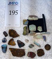 Overview of all opal specimens on white towel with lot card