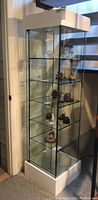 Full front view of tall rectangular glass display cabinet with multiple glass shelves and white wood frame.