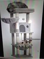 Assembled grey cat tree with three cats showing the multiple platforms, hammock, hideaway cubed section, scratching posts, and hanging ball toy.