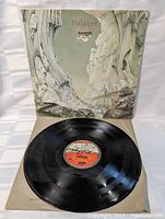 Vinyl record opened and placed on white background, showing reflective black surface with visible grooves and an orange and white label in the center.