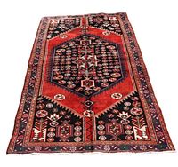 Full view of the rug laid flat showing central medallion, border motifs, and fringe ends