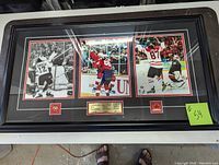 Full view of the framed photo collage showing three distinct hockey goal scenes and the central identification plaque