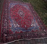 Full view of Persian rug showing overall pattern, colors, and fringe edges