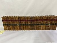 Full set of 24 volumes arranged side by side showing the spine condition, color labels, and gilt decoration.