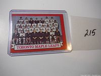 Front view of vintage 1973-74 OPC Toronto Maple Leafs team photo hockey card in protective plastic case, featuring full team photo in Maple Leafs jerseys and suits with red border and team name banner.