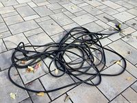Full length view of coiled black rubber garden hose lying on outdoor paved area with leaves around.