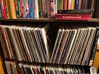 Full shelf overview showing two rows of LP spines
