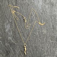 Full view of chain and pend ant on dark background