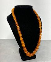Full view of the amber necklace on a black display stand showing front angle.