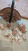 Wicker basket with seashells displayed outside of basket showing variety and size of seashells.