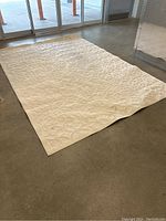 Full view of large beige carpet laid out flat on floor.