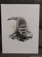 Colorful print of a raccoon near water and rocks with detailed natural surroundings