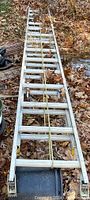 Full length shot of a silver aluminum extension ladder lying outdoors on leaves, showing side rails and rungs