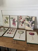 Eight mounted botanical prints with fruit illustrations displayed on a wooden surface.