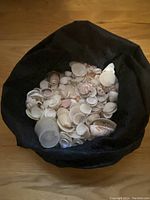Bag containing a variety of small seashells mostly white and beige in color, good for crafting.