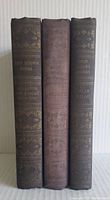 Photo showing the spines of three hardcover books: Elizabeth and Robert Browning, Voltaire, and Oscar Wilde, with decorative gold embossing on the covers.