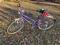 Side profile of the purple ladies bicycle showing the full bike on grassy ground with fallen leaves.