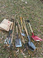 Wide view of all yard tools and yard waste bags spread on the grass, showing condition and variety of tools