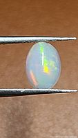 Oval natural Ethiopian opal held between tweezers showing translucent body and strong rainbow play of color.