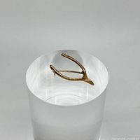 View of the wishbone-shaped pin, showing its shape and surface condition.