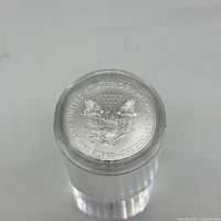 Top view of the reverse side of the coin showing the eagle with shield and text 'UNITED STATES OF AMERICA 1 OZ. FINE SILVER - ONE DOLLAR'. Coin is encased in a protective clear capsule.