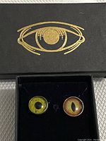 Box with gold eye illustration on lid; inside two pins with realistic eye designs, one green and one orange.