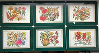 Six Ashdene placemats with dark green borders featuring colorful Australian wildflower designs.