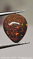 Close-up view of pear-shaped black opal held by tweezers showing red, orange, and green play-of-color.