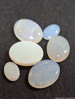 Five genuine opal cabochon gemstones displayed on a dark surface, showing translucent white color with play-of-color effects.