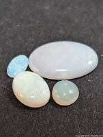 Photo showing four genuine opal cabochons of varying shapes and sizes, polished and smooth with visible internal play of color.