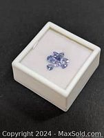 Seven small tanzanite gemstones arranged in display box on black background
