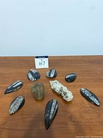Lot of 9 fossils arranged on wood surface: 7 pointed polished arrowhead fossils with black and grey coloration, 2 rough unfinished rocky fossils with embedded fragments.