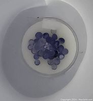 Close-up of round faceted tanzanite gemstones inside a small container showing their blue-violet color and clarity.